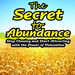 The Secret to Abundance: Stop Chasing and Start Attracting with the Power of Relaxation by Stanley Ncube